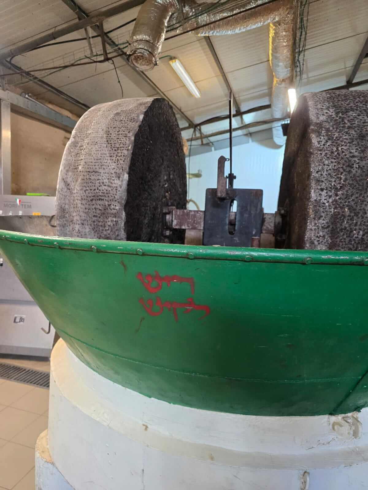 תמונה של WhatsApp_ 2025-07-28 בשעה 12.08.18_63b530dc