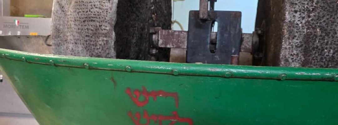 תמונה של WhatsApp_ 2025-07-28 בשעה 12.08.18_63b530dc